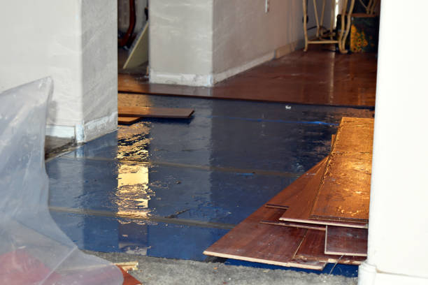 Professional Flood Cleanup technician working in Romeo, MI
