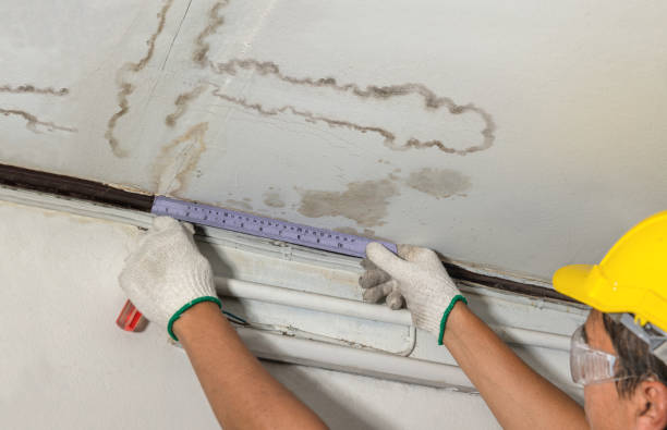 Reliable Flood Cleanup contractor in Romeo, MI by Water Damage Irwin